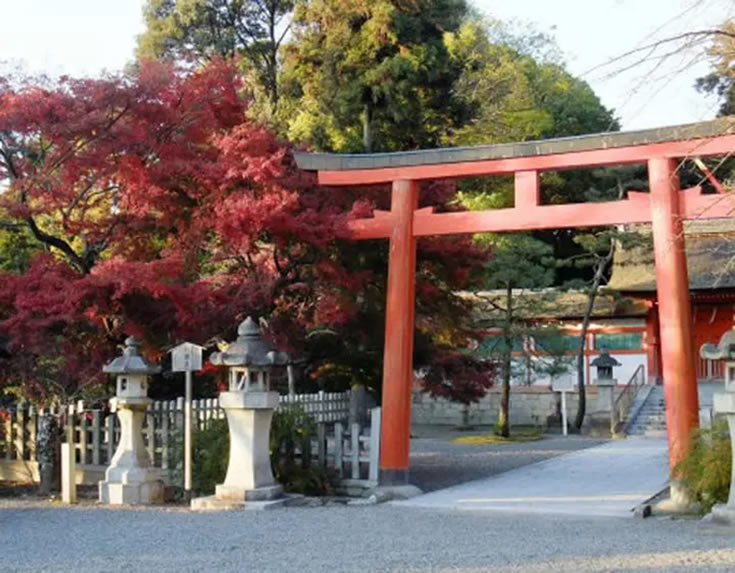 Japanese Religion: Differences Between Temples And Shrines